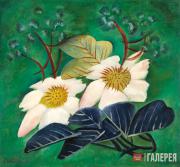 Elena BEBUTOVA. Magnolia. 1922