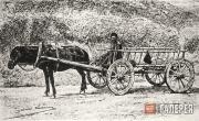 Photograph, late 19th century