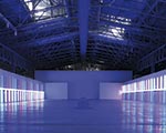 flavin_th.jpg