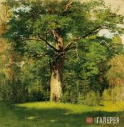 И.И.ЛЕВИТАН. Дуб. 1880 И.И.ЛЕВИТАН. Дуб. 1880