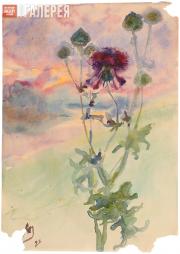Якунчикова Мария. Чертополох. 1898 Якунчикова Мария. Чертополох. 1898