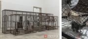 Буржуа Луиза. Опасный проход. 1997 Буржуа Луиза. Опасный проход. 1997