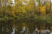 The Petrovsky pond on the estate. 2018 The Petrovsky pond on the estate. 2018