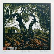 Sharon Pallent. The Olive Tree Sharon Pallent. The Olive Tree