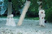 Фантастические картины в открытом пространстве
