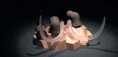 Елена НЕМКОВА. Неверояmные усилия проmив mеории каmасmроф. 2007
