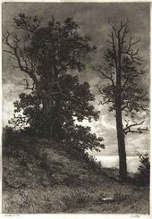 Дубки. 1886