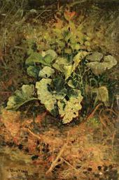 Лопухи. Конец 1880-х