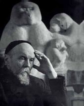 В.А. Ватагин. 1960-е