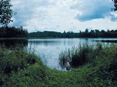 Пруд в Богдановском. Фотография. Елены Теркель. 2009