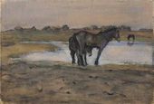 Лошади у пруда. 1905. 