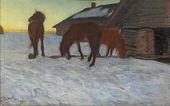 Стригуны на водопое. Домотканово. 1904.