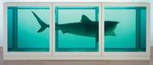 Физическая невозможность смерти в сознании живущего. 1991. © Damien Hirst and Science Ltd. All rights reserved, DACS 2012