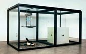 Тысяча лет. 1990. © Damien Hirst and Science Ltd. All rights reserved, DACS 2012