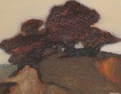 Застывшие. 2007