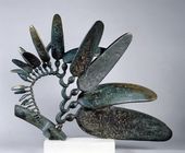 Макроцистис. 1995