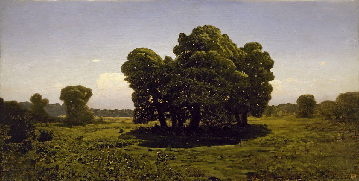 Дубы. 1900–1905