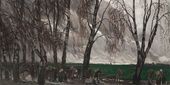 Эмигранты. 1902