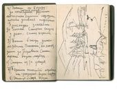 Записи и рисунки 1960 года из дневника П.Ф. Никонова