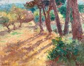 Сосны и яблони в Керфани. 1921