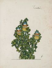 А.Я. ГОЛОВИН. Эскиз растения в саду Императора II, «Соловей». 1918