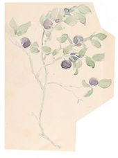 М.В. ЯКУНЧИКОВА. Черника. 1898
