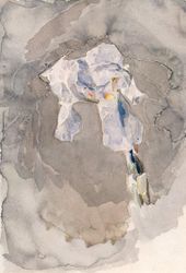 М.А. ВРУБЕЛЬ. Белый ирис. 1886–1888