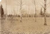 Фотография из личного собрания М.А. Врубеля