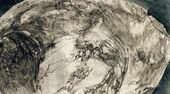 М.А. ВРУБЕЛЬ. Раковина. 1904–1905