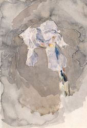 М.А. ВРУБЕЛЬ. Белый ирис. 1886–1888