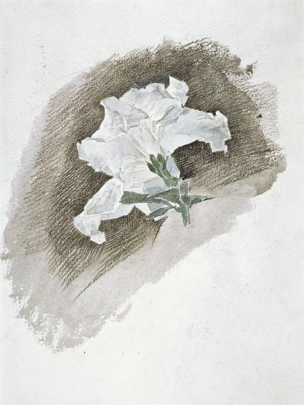 М.А. ВРУБЕЛЬ. Белая азалия без стебля. 1886–1888
