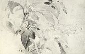 М.А. ВРУБЕЛЬ. Листья. Лист 3 из «Альбома. 1884–1885»
