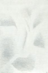 Мерет ОППЕНГЕЙМ. Цветок тумана. 1974