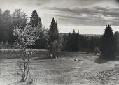 Старое Рябово и его окрестности. 1960
