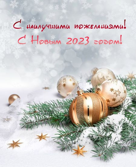 С Новым 2023 годом! | Государственный музей Л.Н. Толстого