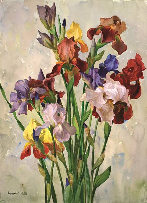 С.Н. Андрияка. Разноцветные ирисы. 2000