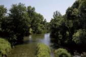 Река Пекша близ деревни Елисейково Фотография. 2010 Река Пекша близ деревни Елисейково Фотография. 2010