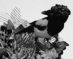 mmoma_news_08_21_th.jpg mmoma_news_08_21_th.jpg
